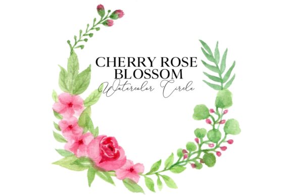 Cherry Rose Blossom Watercolor Circle: A Versatile and Elegant Design